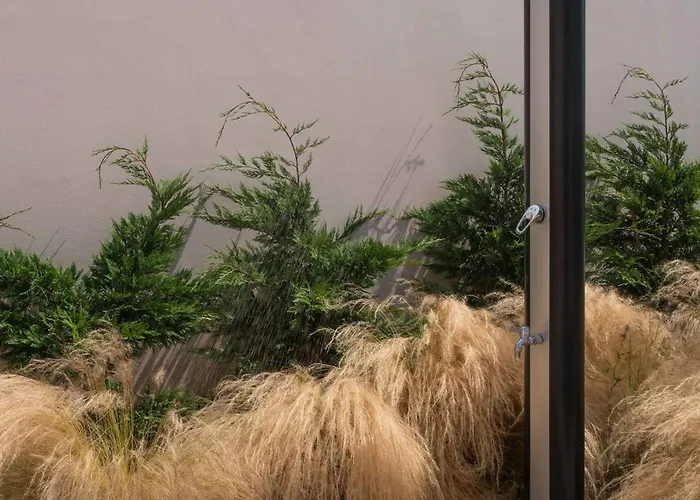 Marta - Canario Da Terra * Vila Franca do Campo