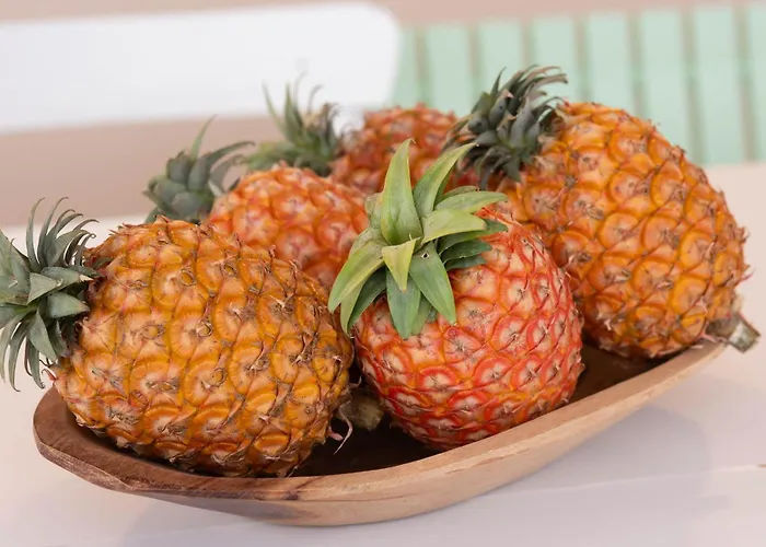 Marta - Canario Da Terra Lejlighed Vila Franca do Campo