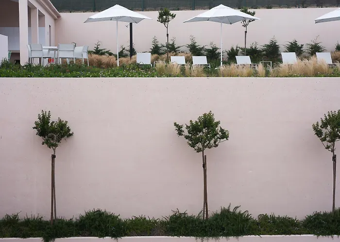 Lejlighed Marta - Canario Da Terra Vila Franca do Campo