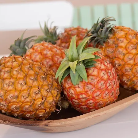 Marta - Canário Da Terra Apartamento Vila Franca do Campo